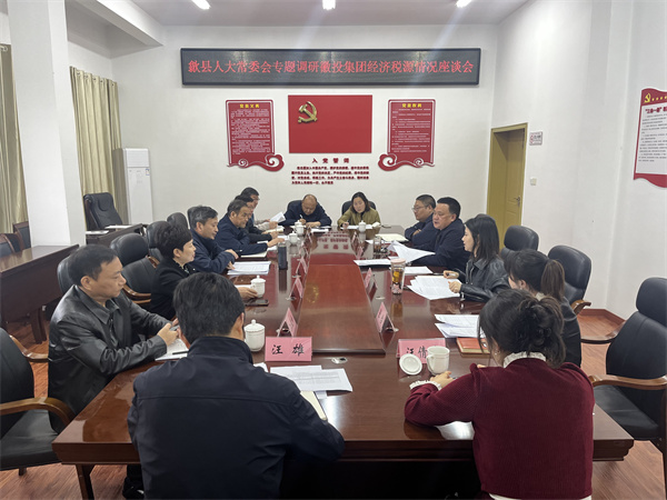 4月7日，縣人大常委會(huì)主任梅代軍帶隊(duì)專題調(diào)研徽投集團(tuán)經(jīng)濟(jì)稅源情況，集團(tuán)洪董、葉總、方總參加調(diào)研座談。.jpg
