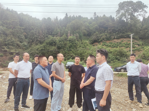 10月1日，洪董，余總陪同汪凱書記一行到紹濂鄉(xiāng)清溪村調(diào)研.jpg