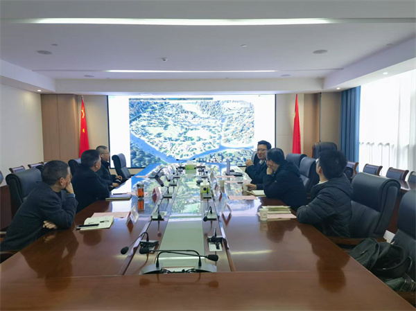 12月12日，洪董會浙江藏元匯控股公司研究集團(tuán)文旅業(yè)態(tài)項目.jpg