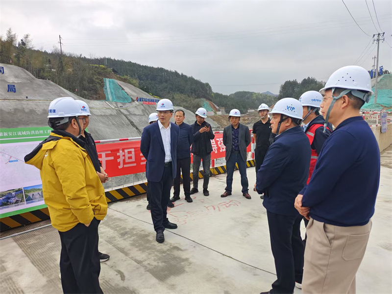 3月27日，縣長王奇勇帶隊調(diào)研防洪工程項目建設情況，黃山徽投集團黨委書記、董事長洪筱明，副總經(jīng)理張高峰陪同調(diào)研。.jpg