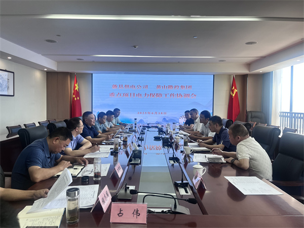 6月18日，歙縣供電公司總經(jīng)理張杰帶隊(duì)赴集團(tuán)就重點(diǎn)項(xiàng)目電力保障工作進(jìn)行座談交流，洪董、潘總、余總、張總，市政、逸寧等單位參加座談。.jpg
