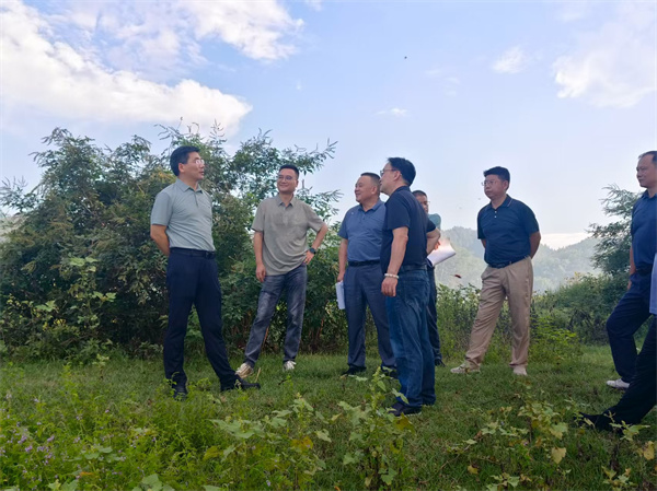 9月15日，王奇勇縣長調(diào)研新安江航道綜合整治提升工程，集團洪董、張總陪同調(diào)研.jpg