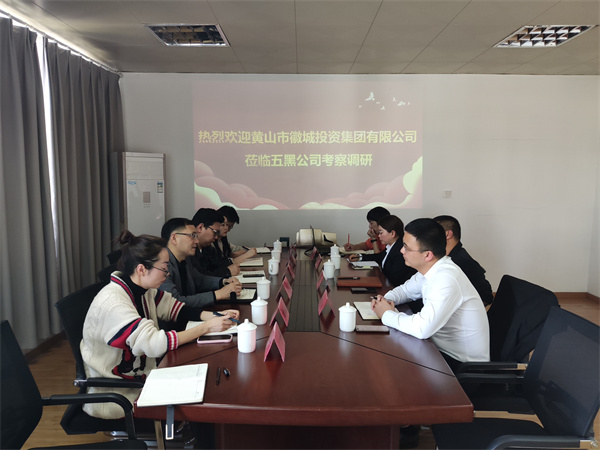 4月21日，集團(tuán)黨委委員、常務(wù)副總經(jīng)理，公司董事長(zhǎng)兼總經(jīng)理方亮帶隊(duì)赴黟縣考察“黟品五黑”區(qū)域公用品牌運(yùn)營(yíng)推廣機(jī)制和“五黑”農(nóng)業(yè)特色產(chǎn)業(yè)發(fā)展情況.jpg