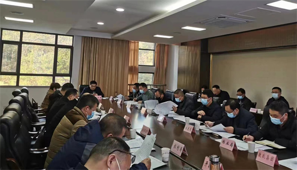 12月14日，王奇勇縣長(zhǎng)主持召開望豐項(xiàng)目工作專班推進(jìn)會(huì).jpg