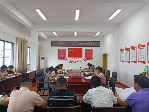 洪董帶隊(duì)調(diào)研市政公司、逸寧公司和質(zhì)檢公司黨的建設(shè)工作.jpg