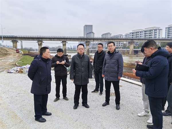 1月20日，汪凱書記到豐樂河環(huán)境整治項目進行調(diào)研，洪董、張總陪同1。.jpg
